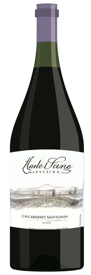 AI-generated wine bottle label for Rhofpanto Nitt Coast Cabernet Sauvignon 2000