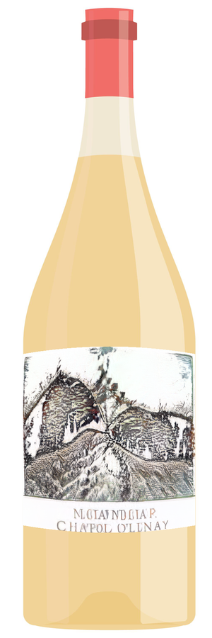 AI-generated wine bottle label for Saljina 24 ElNo's Wine Chardonnay 2014