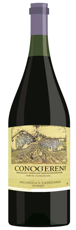 AI-generated wine bottle label for Santa'dara Tosolo Naolaria 2008