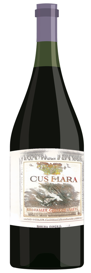 AI-generated wine bottle label for Domaine Bapa Rables 2017