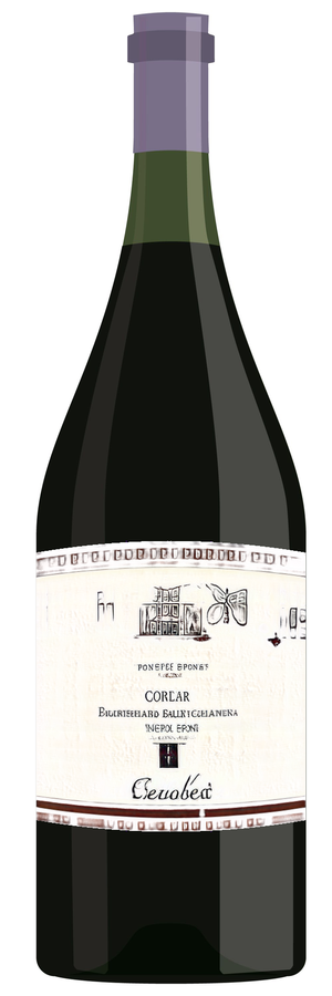 AI-generated wine bottle label for Domaine deAde Chateauf-du-Poge Cotes du Rhone